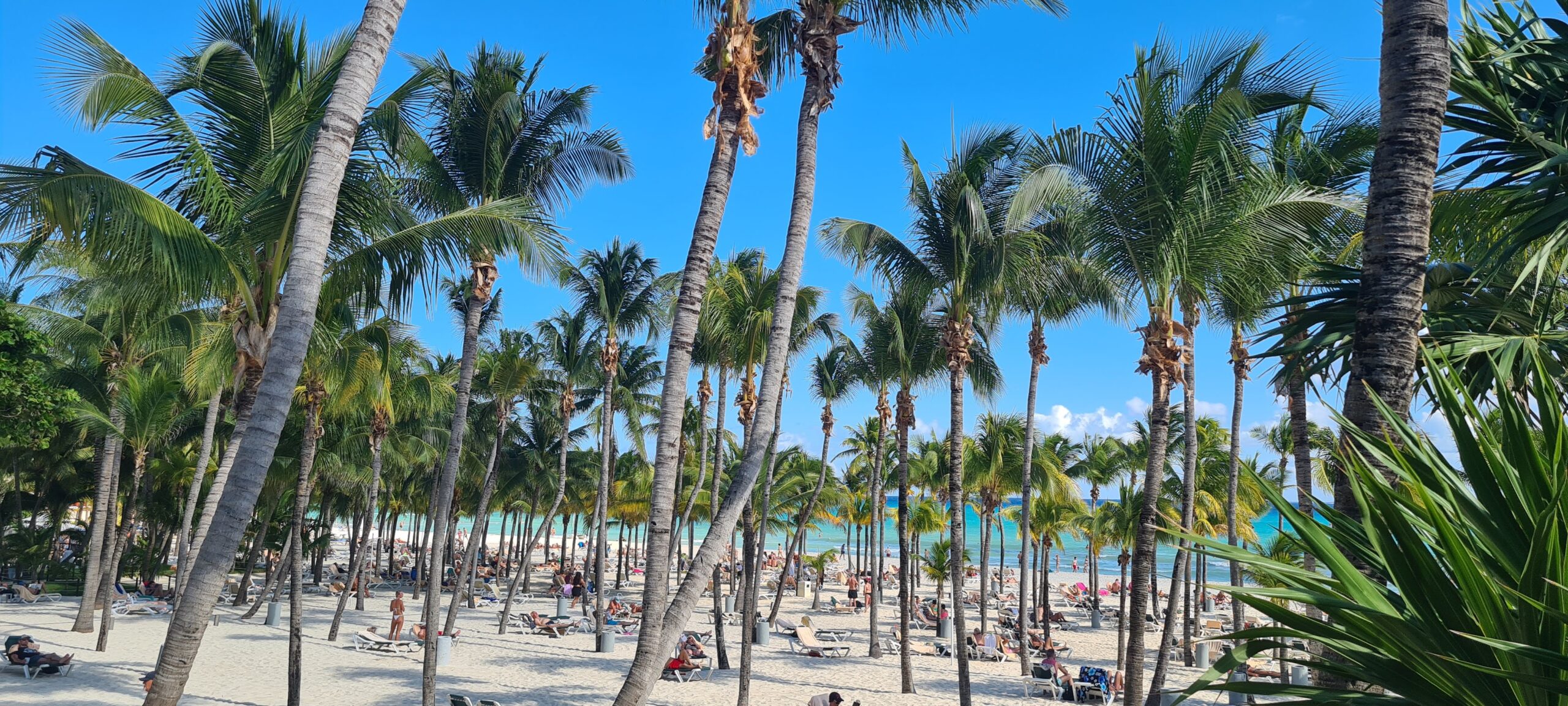 Playa del Carmen