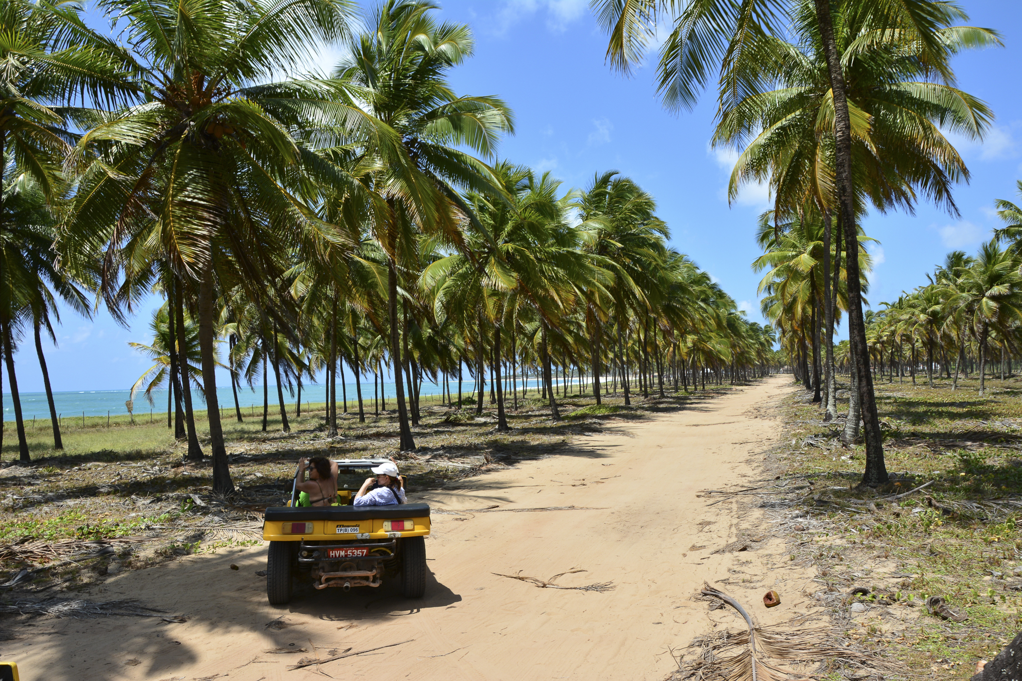 passeio de buggy porto galinhas